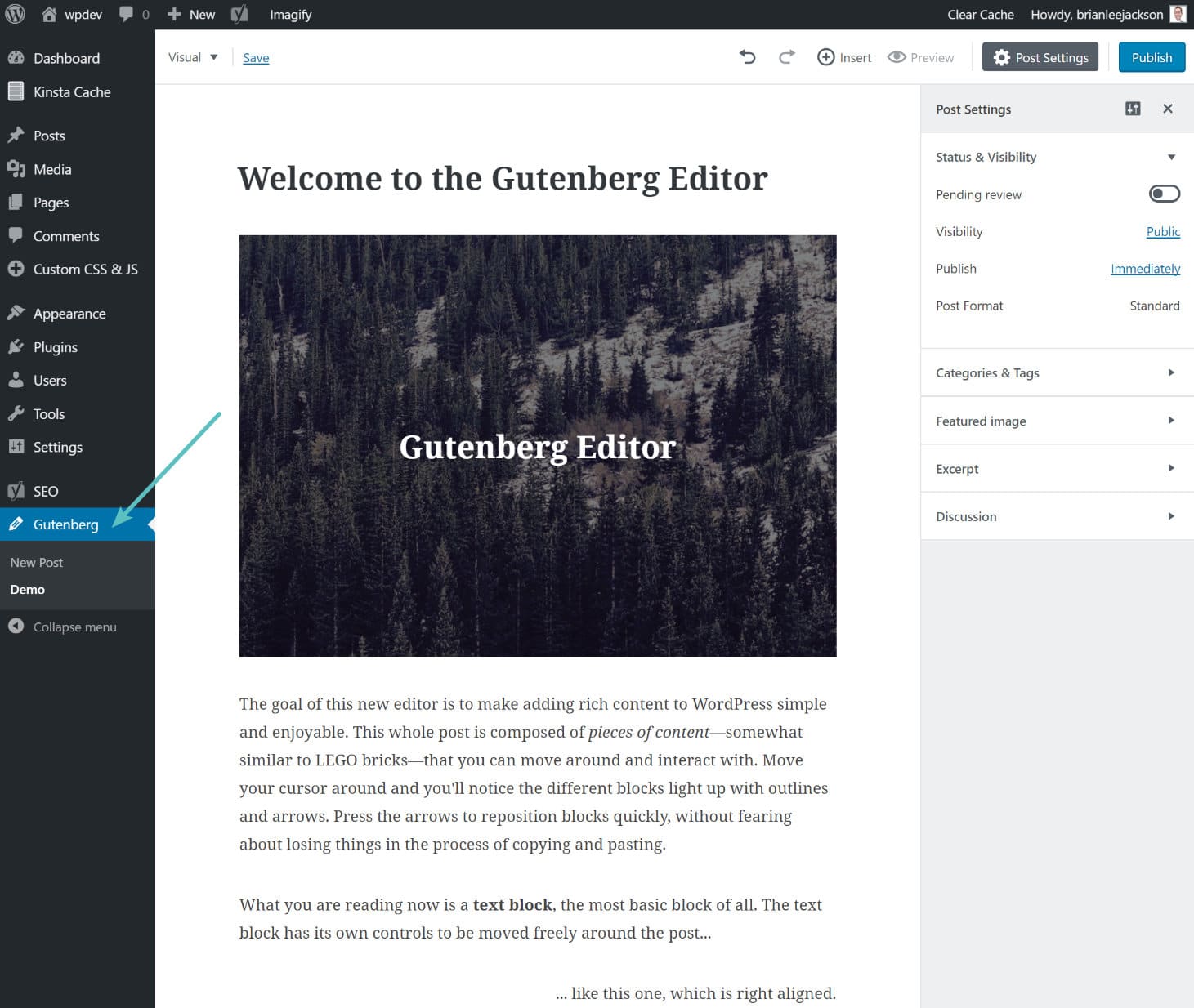 C:\Users\-_Antonio_-\Downloads\Demo-de-Gutenberg-editor.jpg